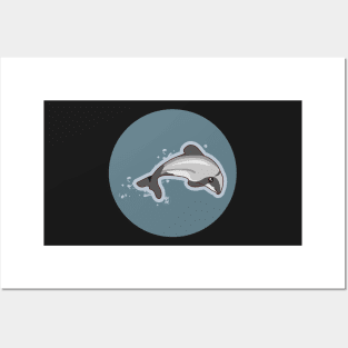 New Zealand Marine Animals - Maui Dolphin Posters and Art